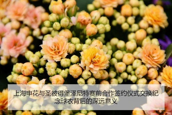 上海申花与圣彼得堡泽尼特赛前合作签约仪式交换纪念球衣背后的深远意义